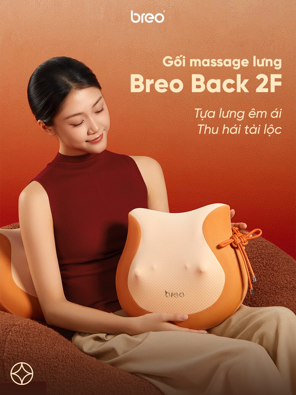 Gối Massage Đa Năng Breo Back 2F 26 1