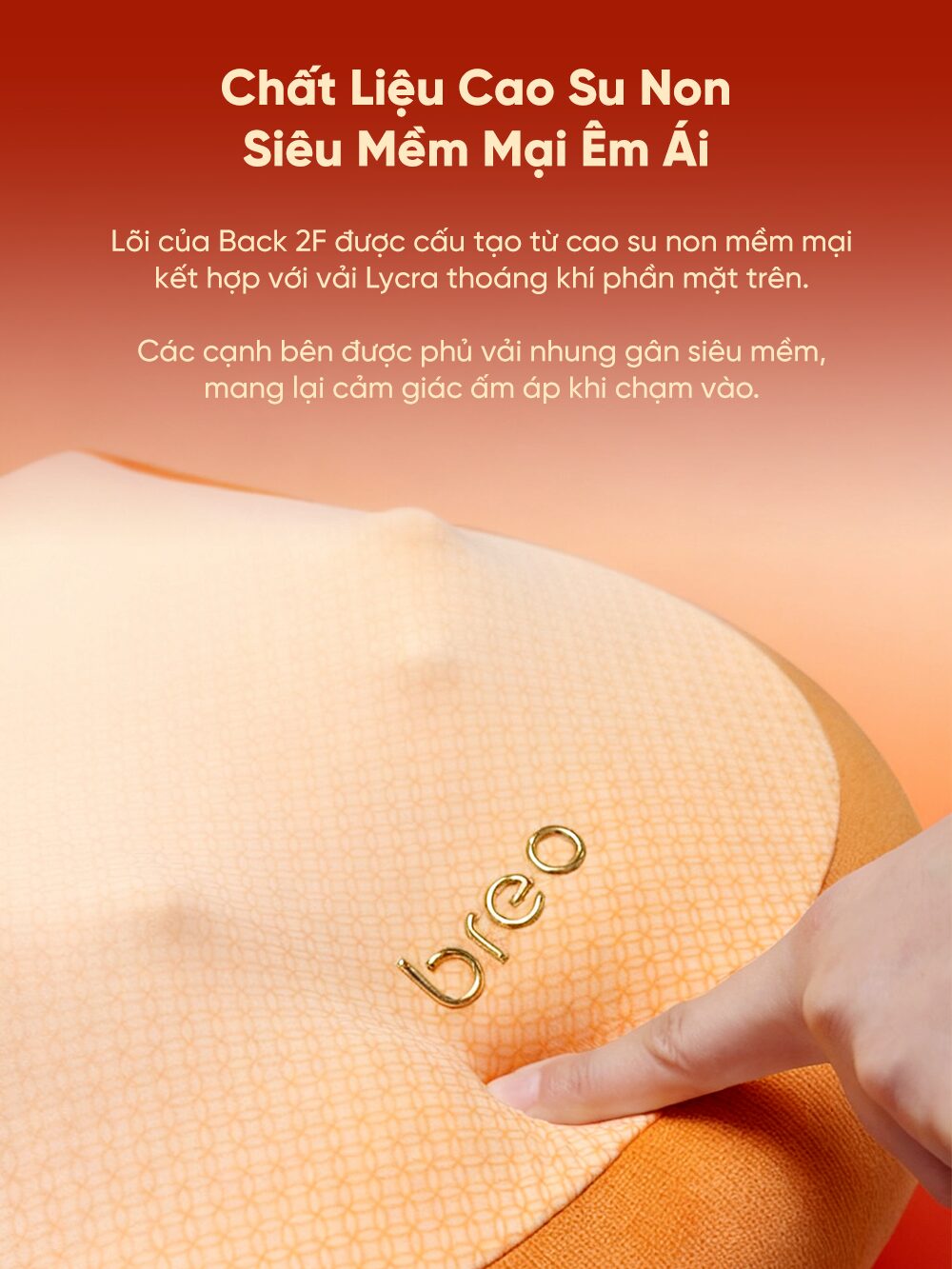 Gối Massage Đa Năng Breo Back 2F 34 9